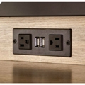 Power Module - 2 Power and 2 USB Outlets 1 Daisy chain