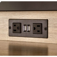 Power Module - 2 Power and 2 USB Outlets 1 Daisy chain 