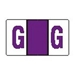 Jeter/TAB Match Alpha "G" Purple - Roll of 500 Labels - J3157