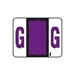 Series 3200 TAB Match Alpha "G" Purple - Roll of 500 Labels - J3257