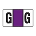 Series 8100 PROFESSIONAL FILING SYSTEMS Match "G" Purple Labels - Pack of 225 - J8116