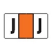 Series 8100 PROFESSIONAL FILING SYSTEMS Match "J" Dark Orange Labels - Pack of 225 - J8119