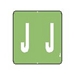 Series 5400/9400 GBS Match "J" Light Green - Pack of 180 Labels - J5419